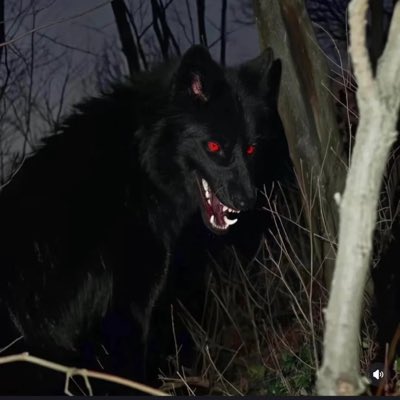 Oclock345's tweet image. #新头像