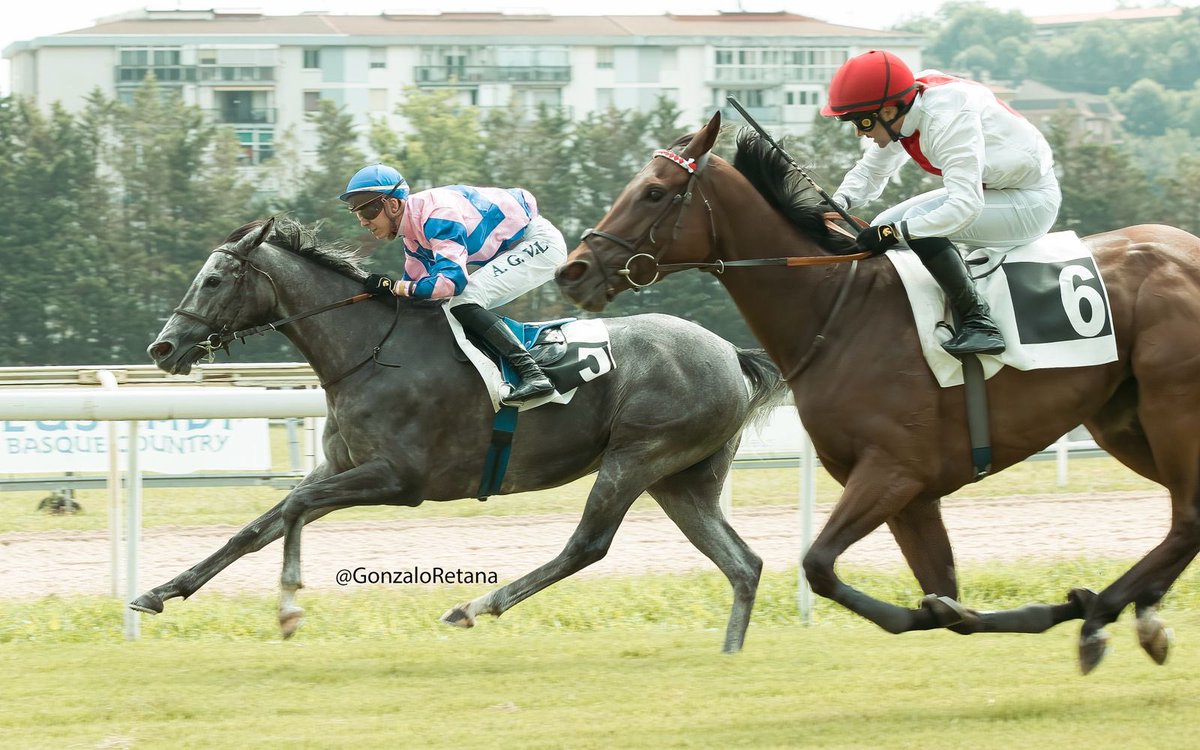 “Salmarak, Darkava, Sweet Caroline …El antiguo Kutxa, luego María Cristina y ahora Donostia Sustapen puede acabar siendo el Gran Premio Zarak”. Hoquis en A Galopar.