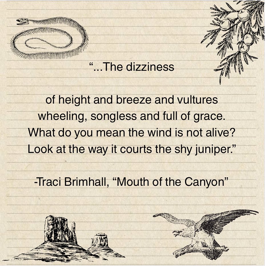 Poetry feature of the week! This quote by Traci Brimhall perfectly captures the animism and intensity of the living things that thrive inside the walls of a canyon.