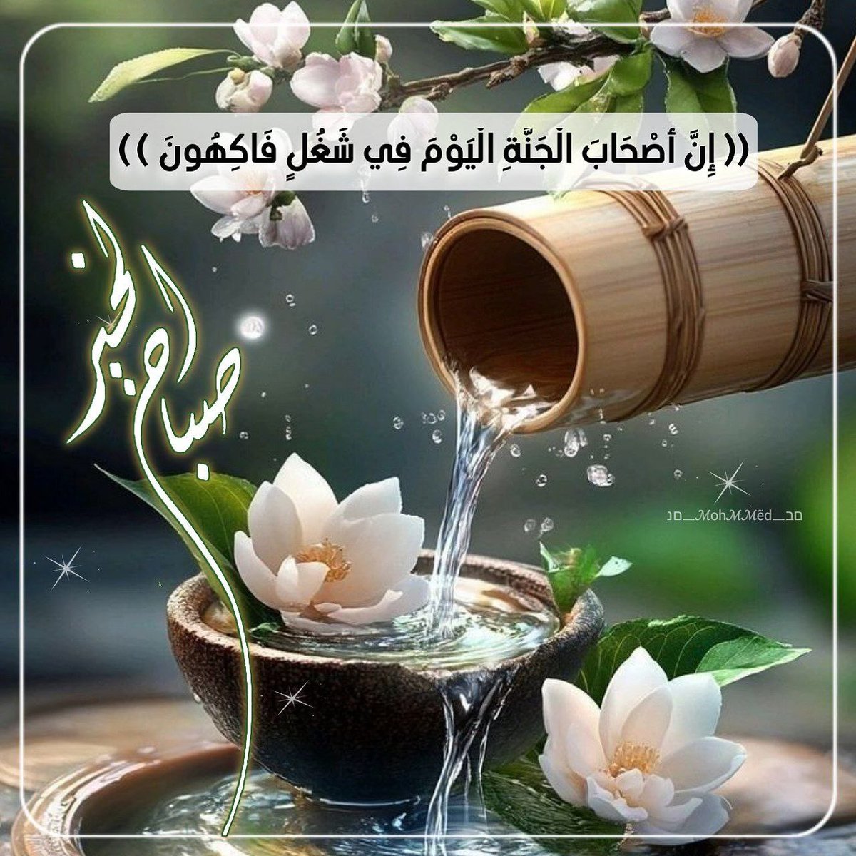 🌹صـبــــاح الخير🌹

ثم ..قل يارب~♡
وسيترتب كل اعوجاج  ..
ويُشفى كُل إنكسار .. 
فكُلما همست لله سرًا مُنحت العطايا من كُل مكان ...

وإن ضاقت بكَ الأيامُ صبرًا 
ستولدُ بعدَ صبركَ ألفُ بشرى

#صباح_البشرى
#صباح_الخير