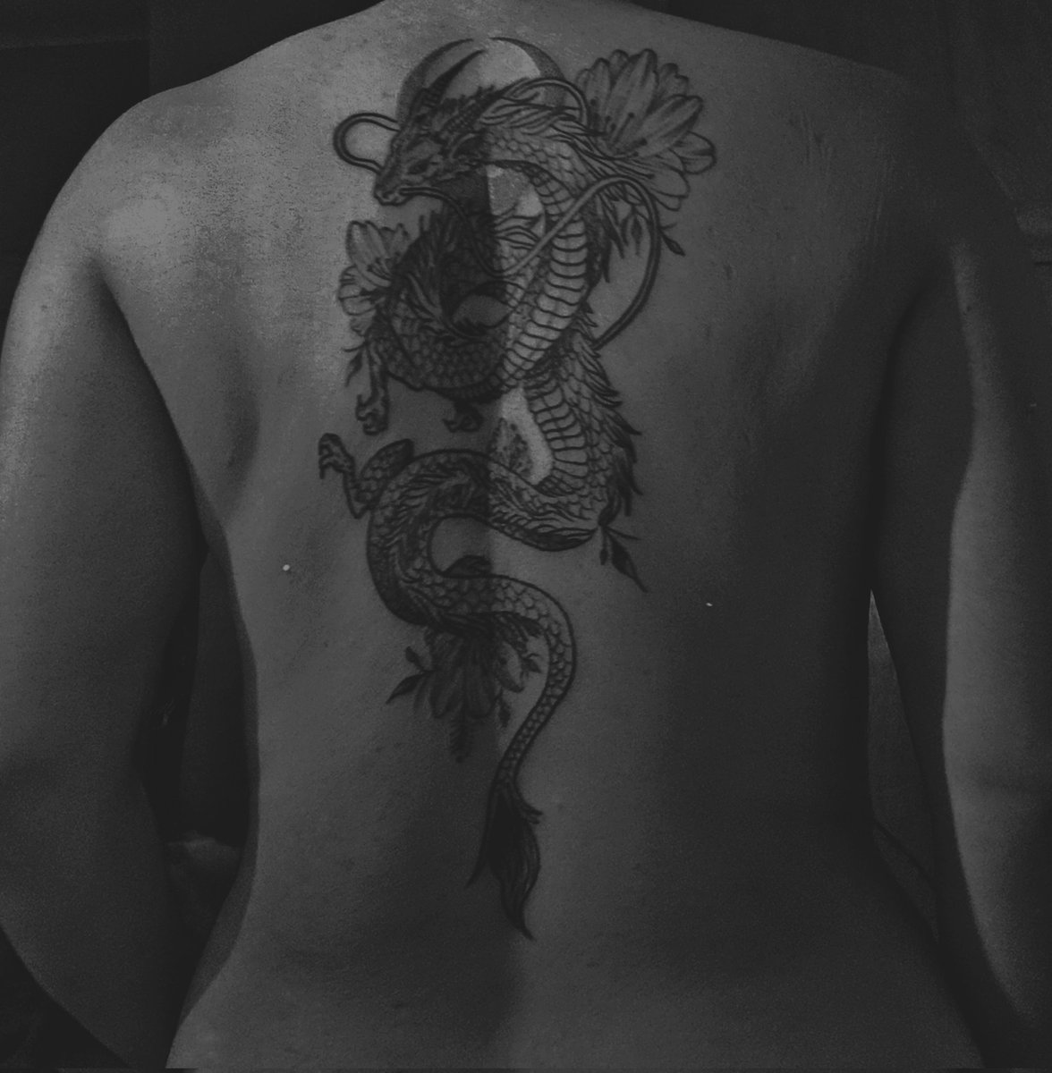 BetzyYobal's tweet photo. 🐉 https://t.co/VFsvKBXop1