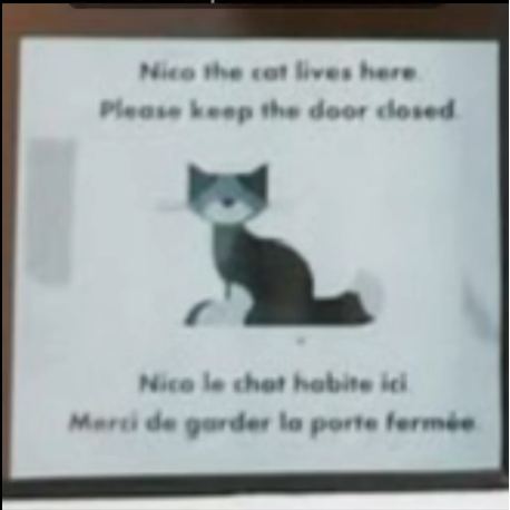 Nico Carney, Purr Minister of Canada (@carneypurr67561) on Twitter photo To the members of the press who follow me, I am Nico Carney, Mark Carney's beloved cat and Canada's top cat. 😺🇨🇦 I thank you for following me and ask that you please help me with getting <a href="/MarkJCarney/">Mark Carney</a> to release more pics of me as this is all there is below. #CatPics To the members of the press who follow me, I am Nico Carney, Mark Carney's beloved cat and Canada's top cat. 😺🇨🇦 I thank you for following me and ask that you please help me with getting <a href="/MarkJCarney/">Mark Carney</a> to release more pics of me as this is all there is below. #CatPics