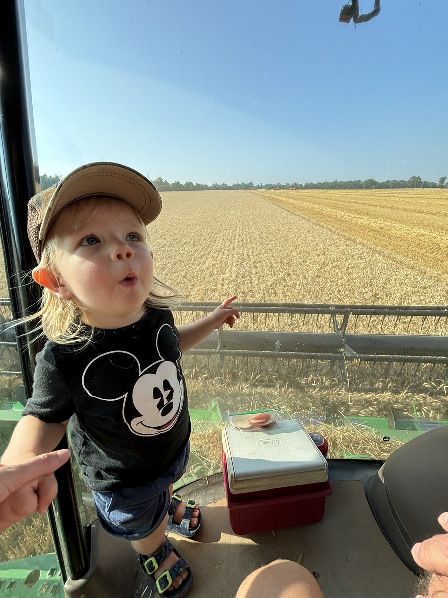 jim saul 🇨🇦🌽🐓 tweet media