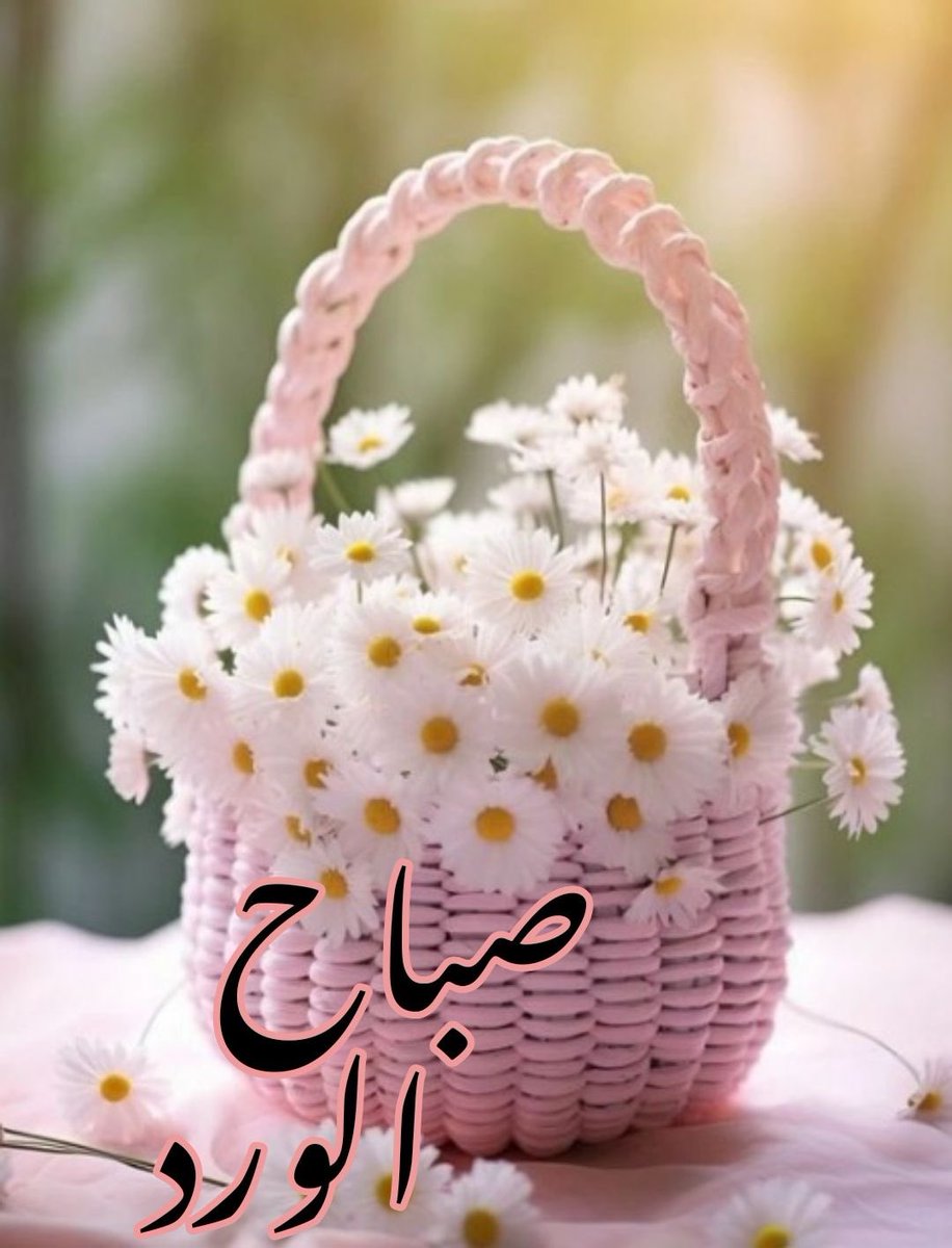 اللهم بشرنا بما يفرحنا وأجعل قلوبنا أمنة مطمئنة وأرزقنا من الخير كله ..

#صباح_الخير
