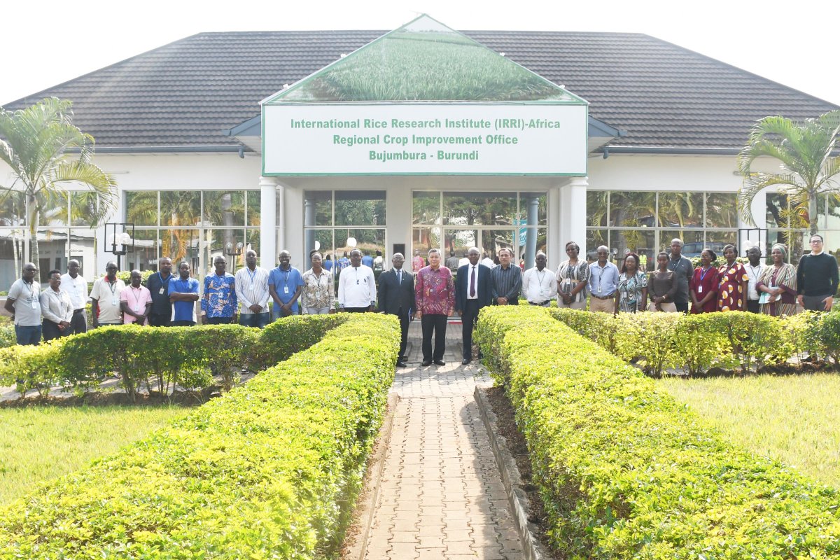 irri's tweet image. Burundian diplomats visited IRRI’s Regional Crop Improvement Hub to learn how scientific innovation in rice research supports Burundi’s ambition to become a developed country by 2060.
🔗 Read more: bit.ly/46EabmK