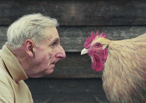 AgathaChocolats's tweet image. In six words or fewer, write a story about this photo.
#sixwordstory #WritingCommunity