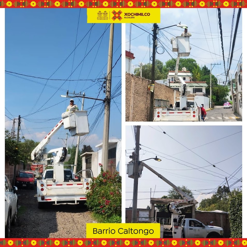 Xochimilco en acción ✅ 🚧

A través de la Dirección General de Servicios Urbanos damos mantenimiento al alumbrado público en el Barrio Caltongo.

#DesdeElPuebloYParaElPueblo 
#TierraDeGuardianes 🌿