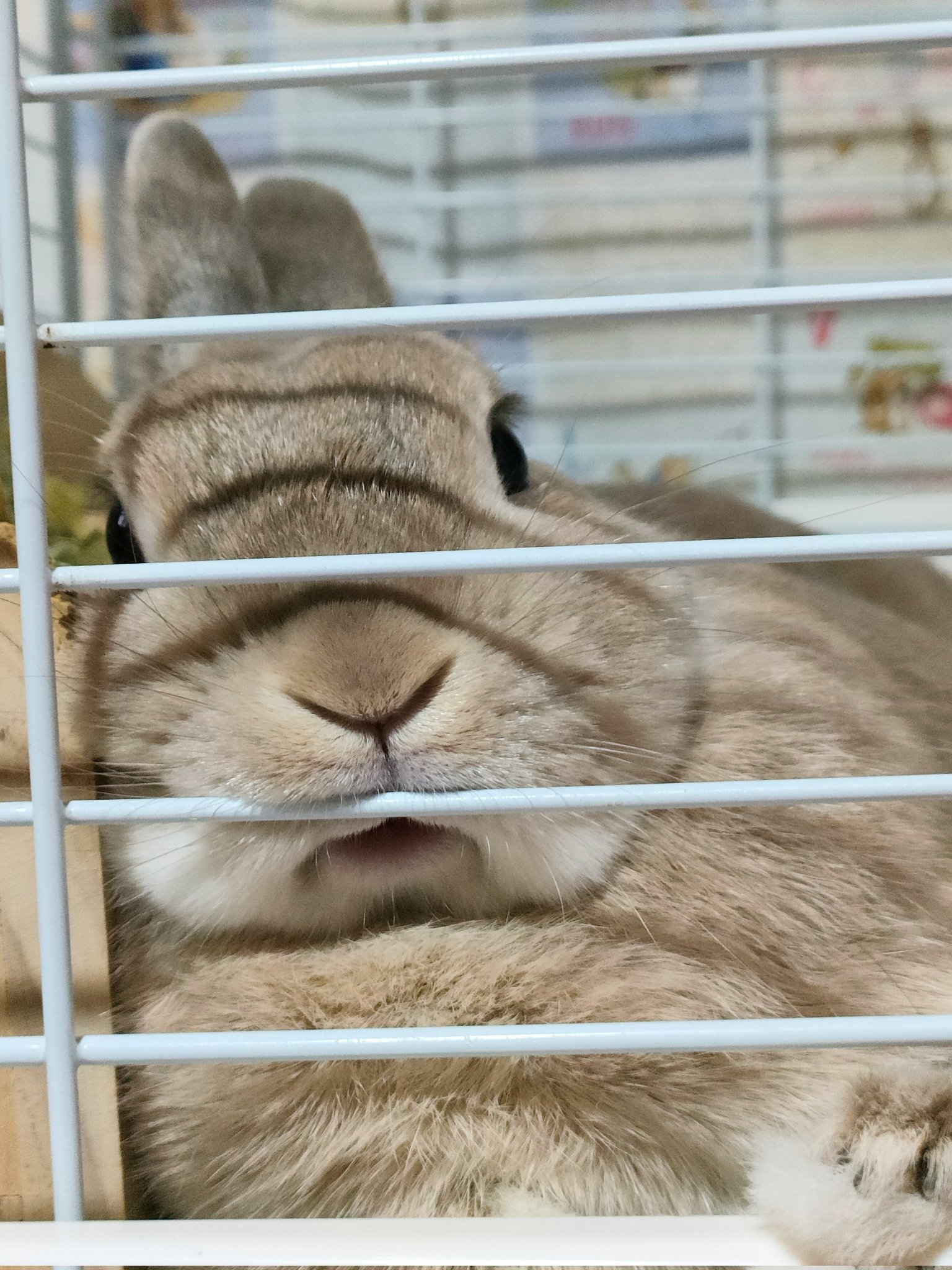 PPうさぎ様☆おまとめ 3f8b2f6089e5818fef3f0c74338e29