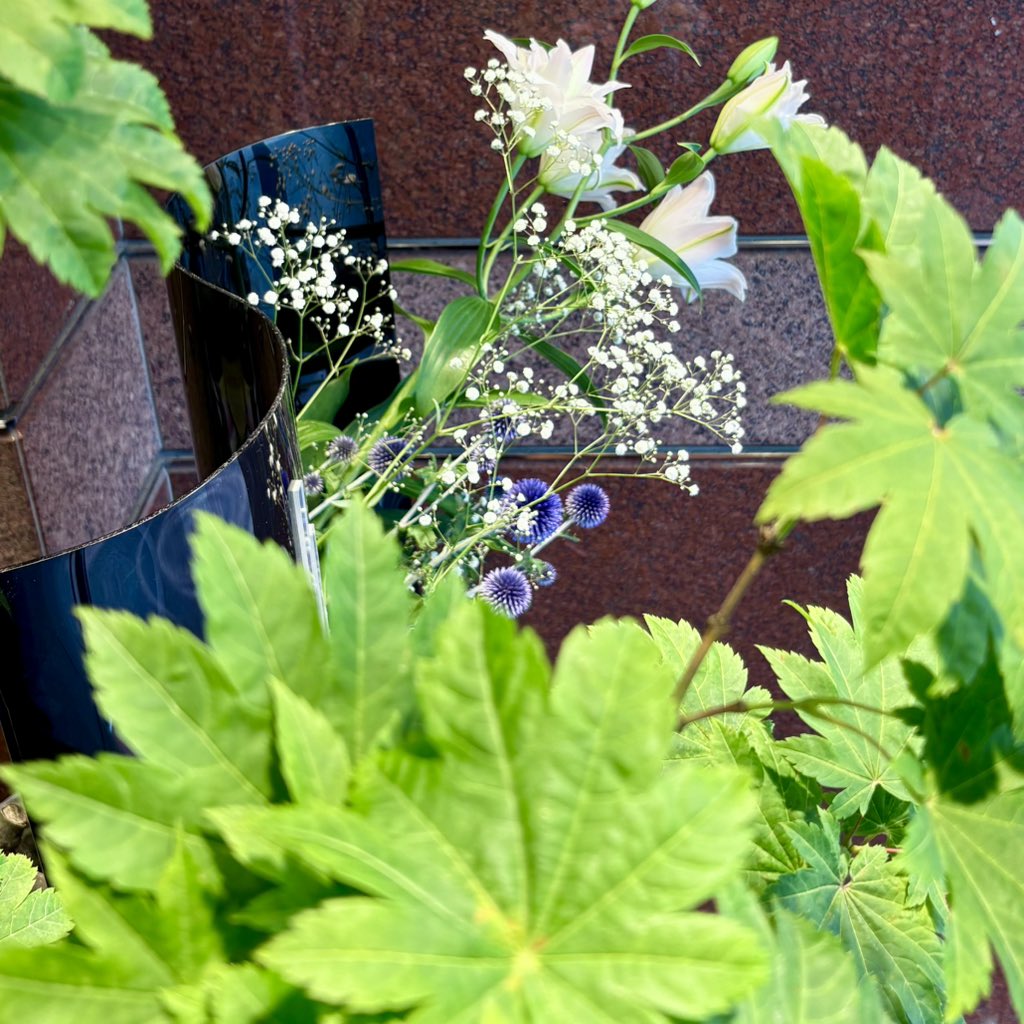 本日7/15〜17は、京都いけばな協会「祇園祭にいける いけばな展 ストリートギャラリー」
未生流笹岡の担当は、ノムラテーラー四条本店（四条通麩屋町東入北側）
#笹岡隆甫 #未生流笹岡 #MISHORYUSASAOKA
#いけばな #IKEBANA #華道
#京都いけばな協会 #祇園祭