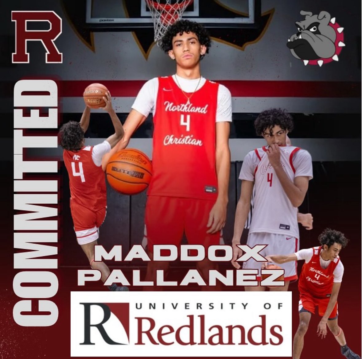 Maddox Pallanez (@maddoxpalla) on Twitter photo COMMITTED #AGTG
I would like to thank my family and coaches for always supporting me and helping me get to this point.#GoBulldogs <a href="/RedlandsMBB/">RedlandsMBB</a> Legend coach AC <a href="/GFORCEHOOPS/">GFORCE BASKETBALL</a> <a href="/BeachCityHoops/">Beach City Hoops π΄πβοΈ</a> COMMITTED #AGTG
I would like to thank my family and coaches for always supporting me and helping me get to this point.#GoBulldogs <a href="/RedlandsMBB/">RedlandsMBB</a> Legend coach AC <a href="/GFORCEHOOPS/">GFORCE BASKETBALL</a> <a href="/BeachCityHoops/">Beach City Hoops π΄πβοΈ</a>