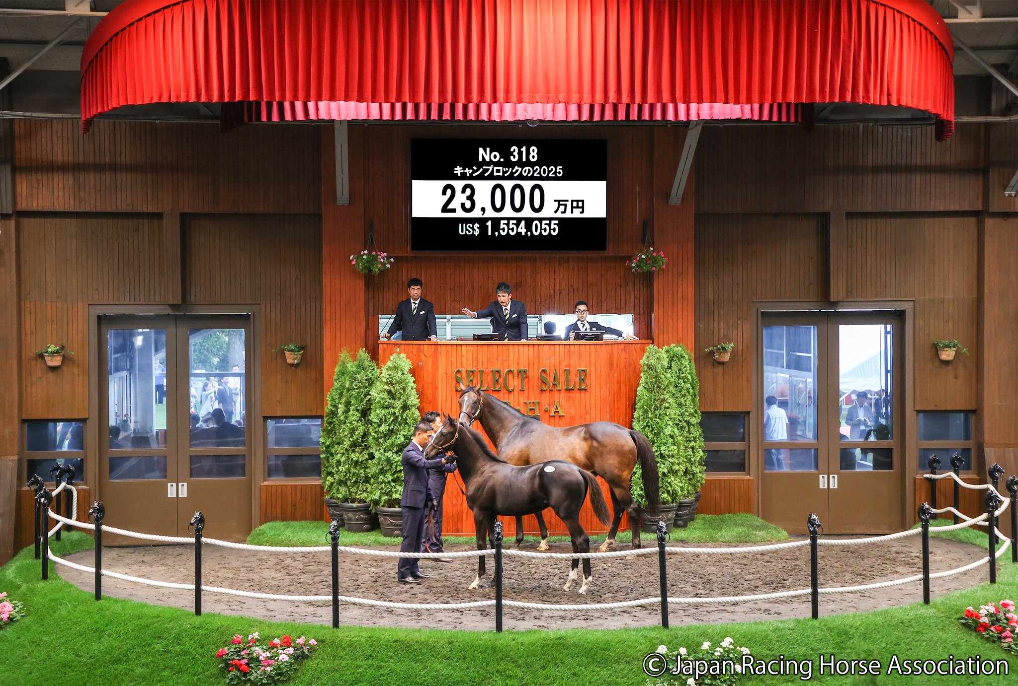 日本競走馬協会(JRHA) on X: 