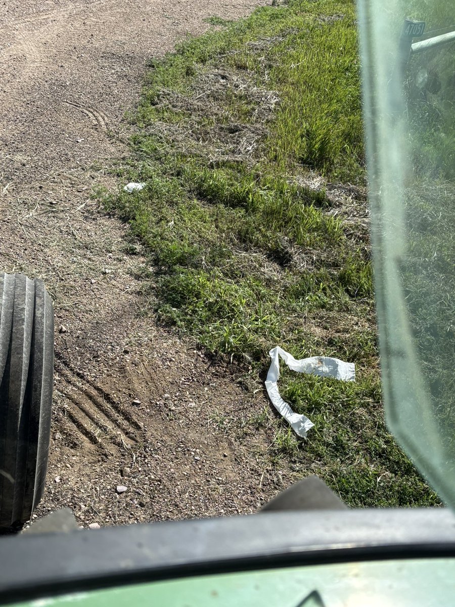 In the 5-6 hours between me raking and baling today, someone took a 💩 on the edge of the substation service road by exit 50. 

3 minutes from a proper bathroom, in broad daylight, next to a busy road. 

People are absolutely feral, anymore.