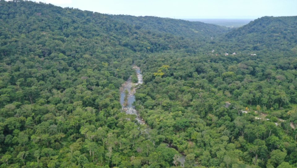 guztavolopez's tweet photo. Tanta riqueza natural, tenemos qué cuidar nuestro #MedioMabiente #Chiapas https://t.co/kE1anOfwbj