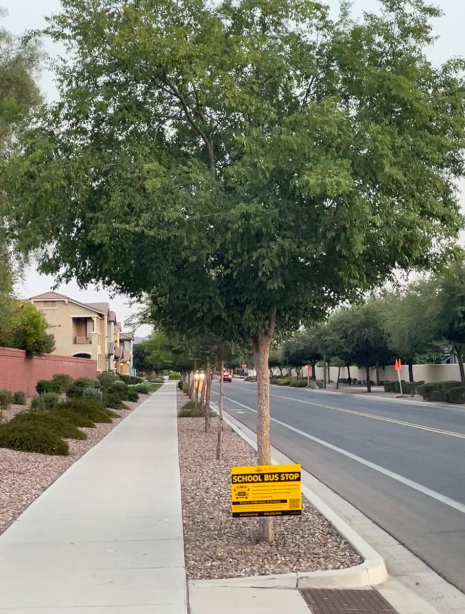 OnSidelines's tweet image. As the Big Apple Games/Summer Rising 🏈 Begins in Earnest Back Home 🏡 Today…
Students Gear 🆙 for the New School 🏫 Year to Start Later This Week in Arizona!
Good Luck Kids on Both Coasts!
I Knew Something Was Up When I Saw School Bus 🚌 Stop 🛑 Signs Posted on My Walk 🚶♂️