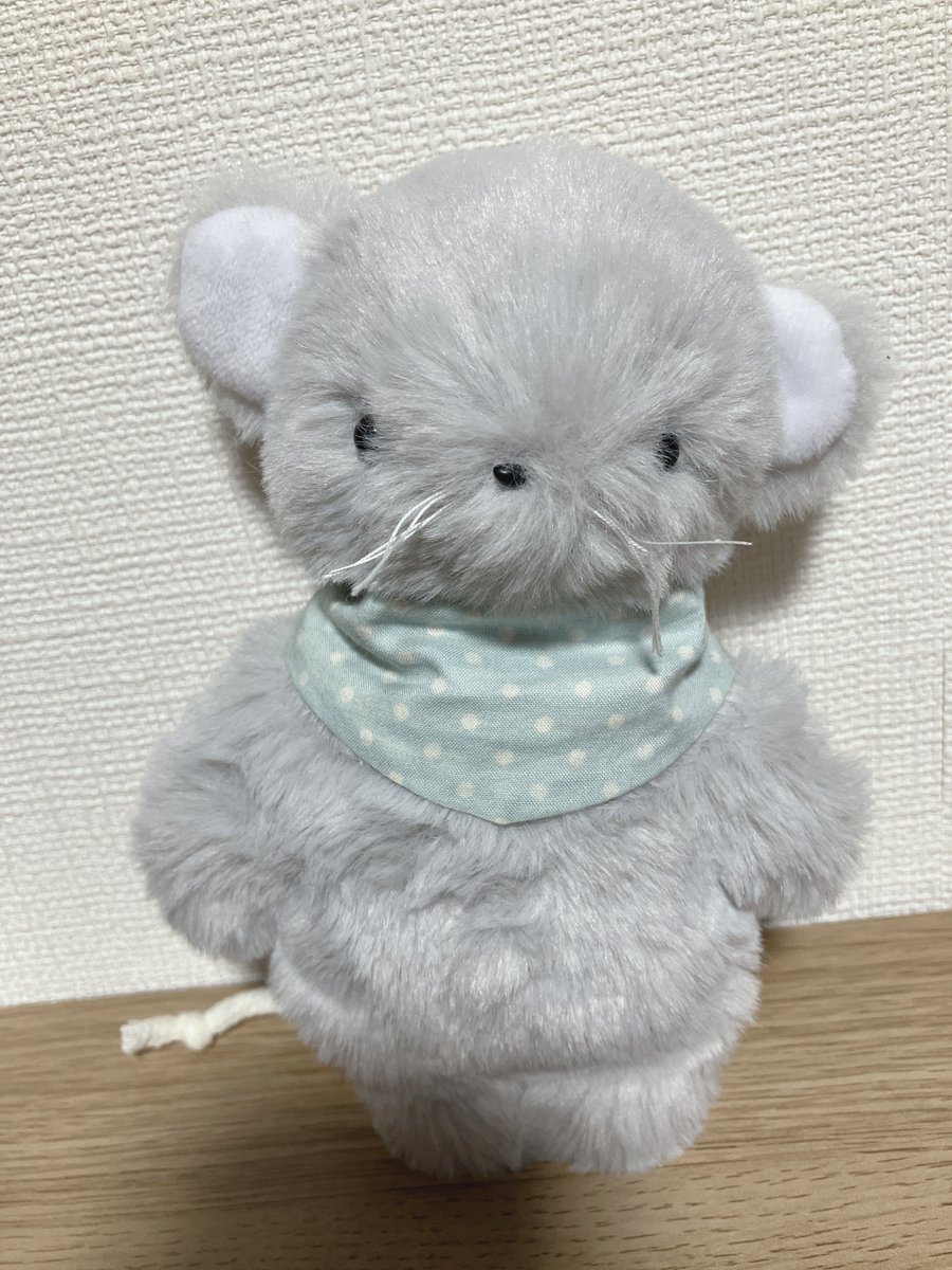 まめこ (@Mamekonokomame) / X