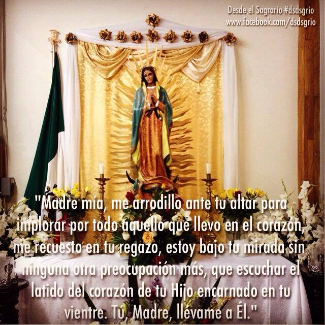 MonicaOP♥️🗺️✝️🌷 tweet media