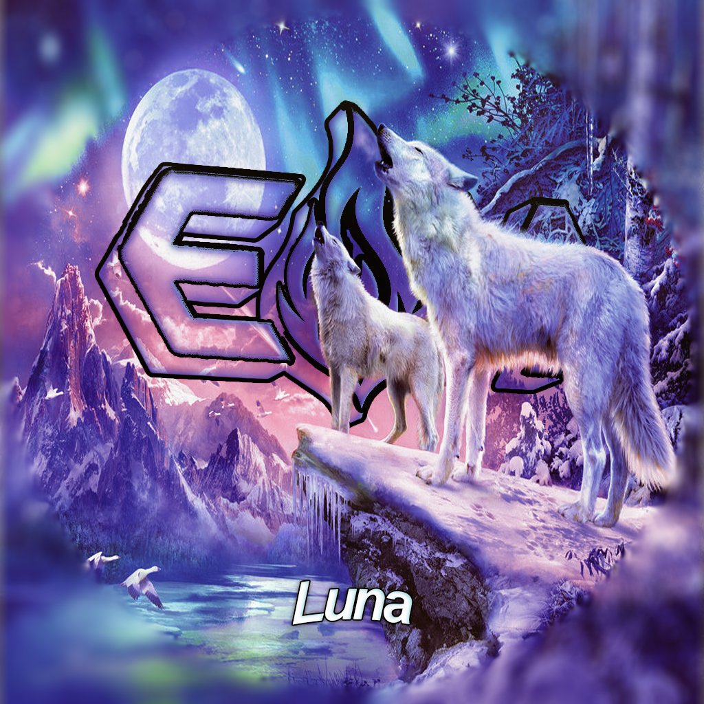 The 3 AVIs I just made tonight….. thoughts would be nice.