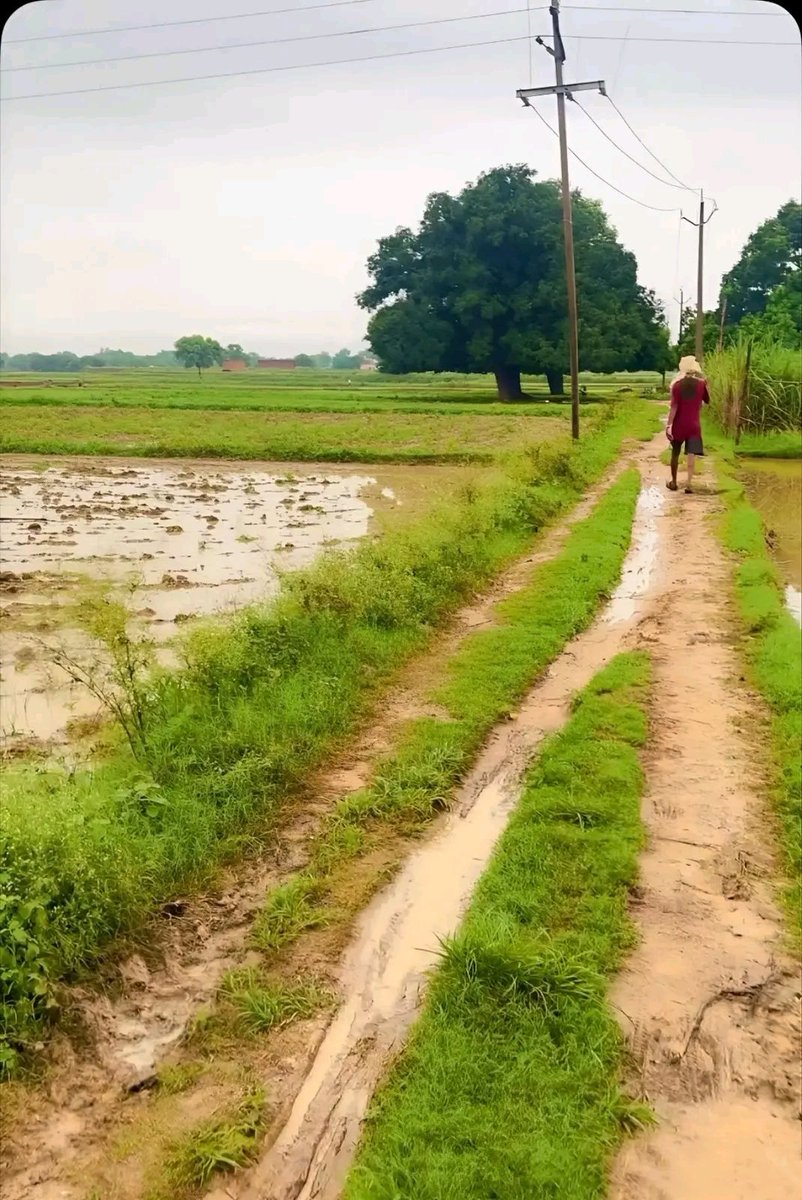 गांव की छोटी और कच्ची सड़क का नज़ारा  🏞️⛈️ सुप्रभात 🌄