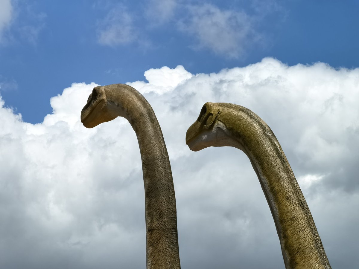 人生在于体验 tweet media