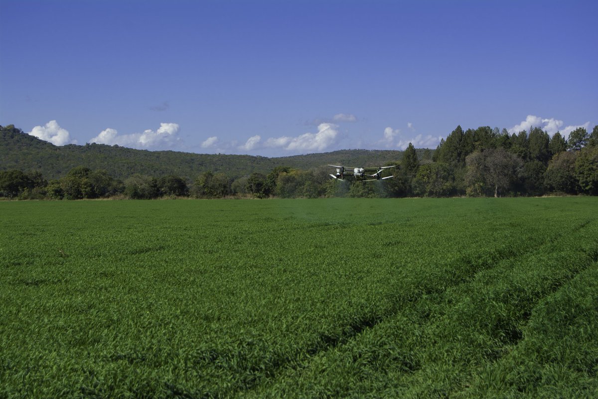 𝗣𝗿𝗲𝗰𝗶𝘀𝗶𝗼𝗻 𝗶𝗻 𝗮𝗰𝘁𝗶𝗼𝗻 👉️ 𝗖𝗿𝗼𝗽 𝗦𝗽𝗿𝗮𝘆𝗶𝗻𝗴 #𝗗𝗿𝗼𝗻𝗲

We recently completed 93 hectares of wheat fungicide application in just  6.5 hours, using conventional and high precision boom sprayers,

This operation usually takes 2 days to complete and is just