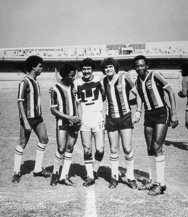 5️⃣1️⃣ AÑOS han sido testigos de la garra de los LEONES NEGROS DE LA UNIVERSIDAD DE GUADALAJARA. 

📸 1/5 
 #51AniversarioLeonesNegros 🇧🇪🦁👉