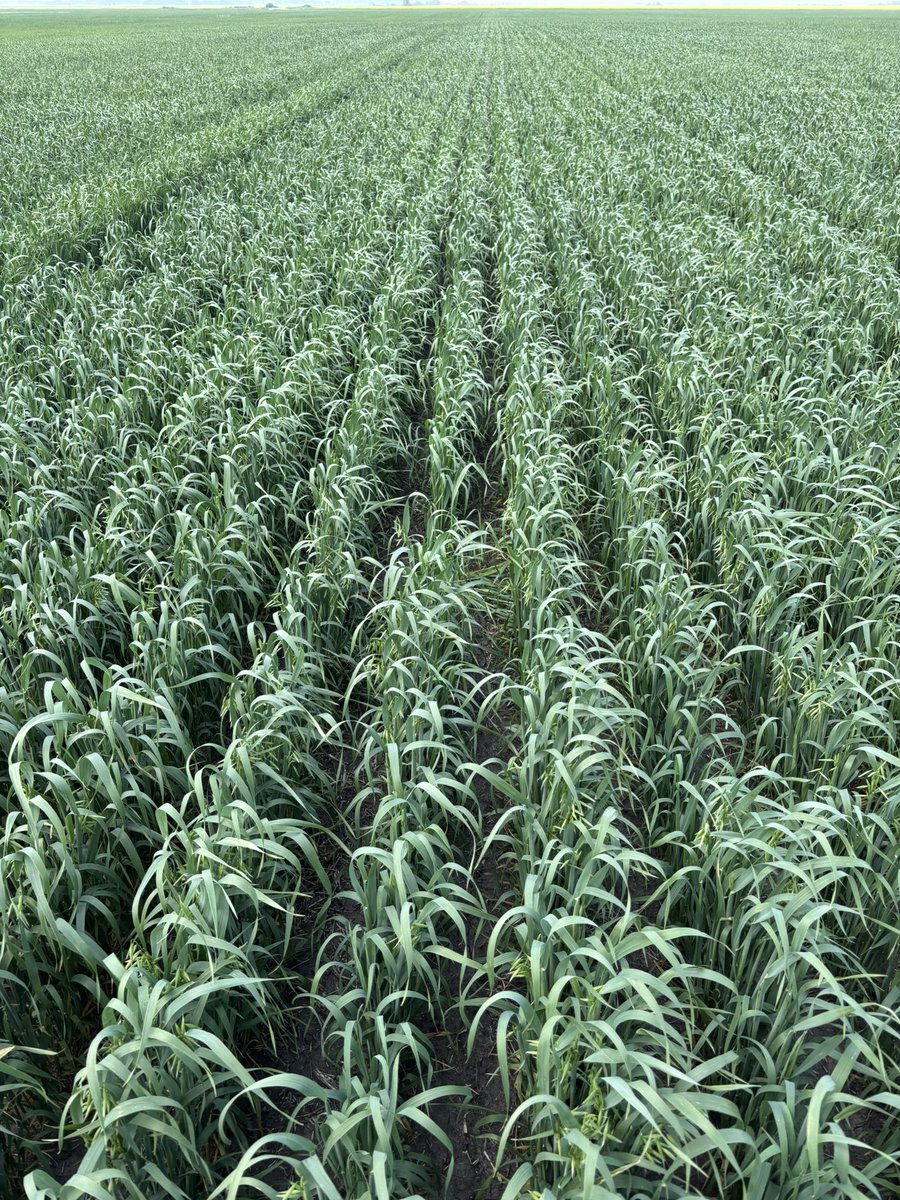 Guy Keeler PAg tweet media