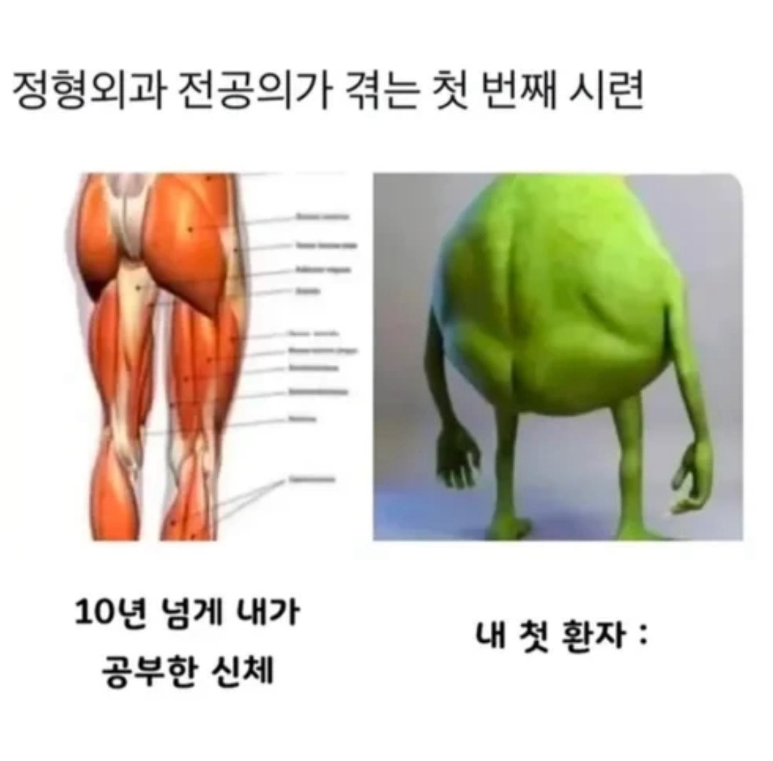 정형외과  전공의가 겪는 시련