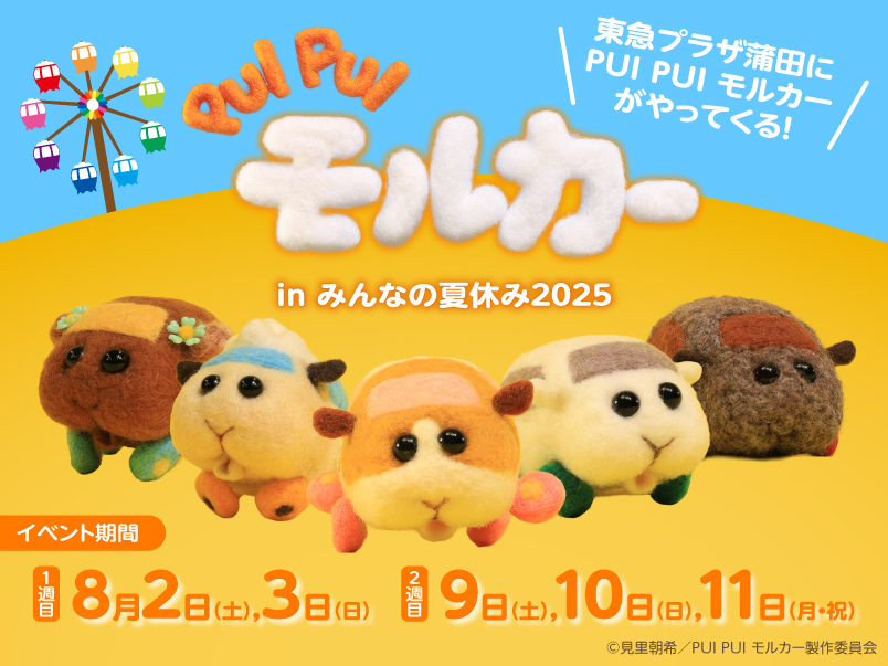 キャラクターショー 埼玉県 PUIPUIモルカー - Search / X