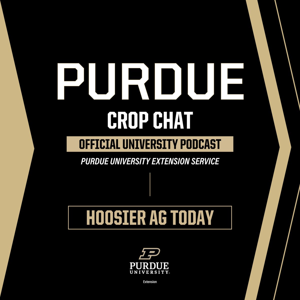 PurdueAgryExt's tweet image. PU Crop Chat discuss Tar Spot & Red Crown Rot with Dr. Darcy Telenko. What are we seeing across the state & what disease pressures are occurring. @PurdueExtension @PurdueAg @INCornFarmers @INSoybean @PurdueCorn @PurdueSoybean @PurdueAgronomy @DTelenko
creators.spotify.com/pod/profile/pu…