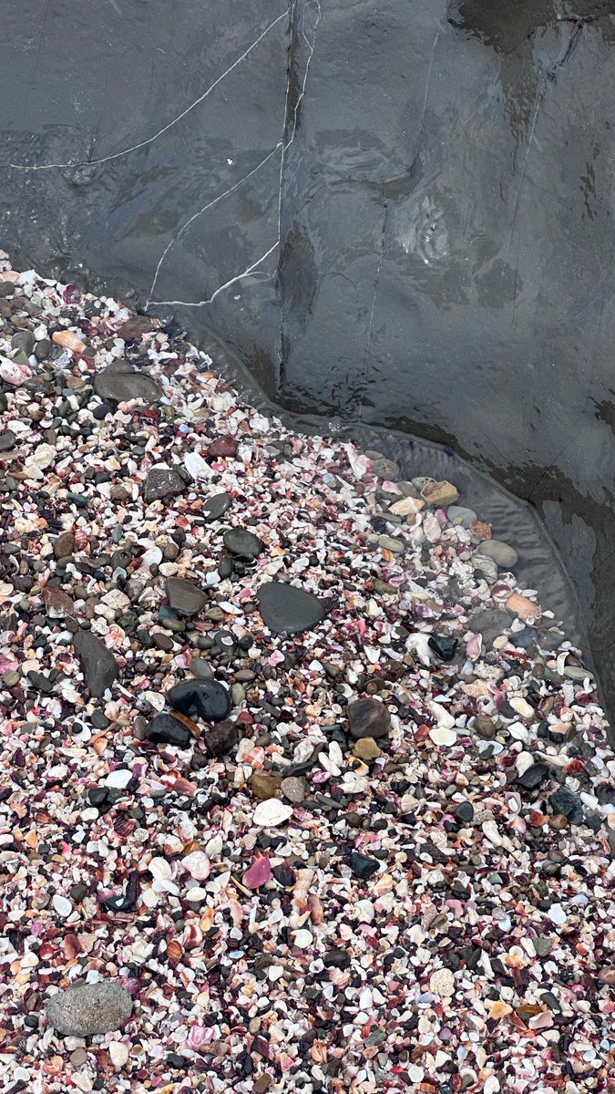 sacred geometry just washes up from the depths of the ocean, and you still don’t believe in a higher consciousness?