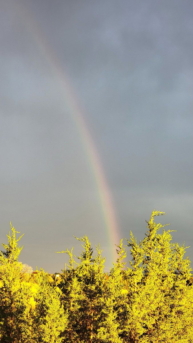 Double rainbow this evening! 😃