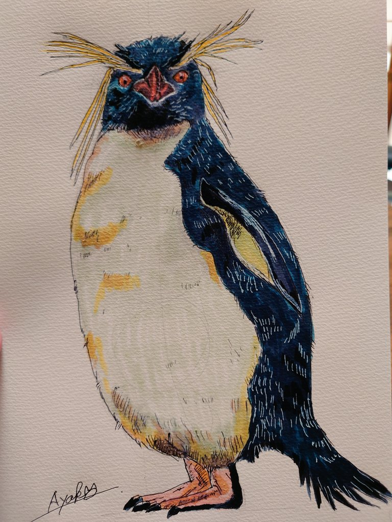 油絵 イワトビペンギン 海 ot_iwatobi_sn-thumb-240xauto-