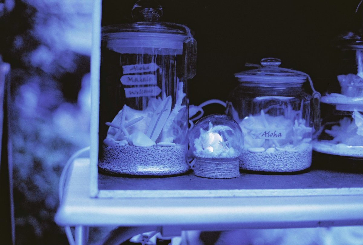 champcamera's tweet photo. JAZZY BLUES #ISO25 by #青葉台 店
ひときわ異彩を放つ "JAZZY BLUES Experimental Color Print Film"
他の #フィルム では表現し得ない一面の「青」の世界をご堪能下さい~!
※作例はK(@xkobxkob )様よりご提供
#カラーネガ #JazzyBlues #Ultrafine #田園都市線
https://t.co/XAG0u2SA9I https://t.co/6I3BaPItkc