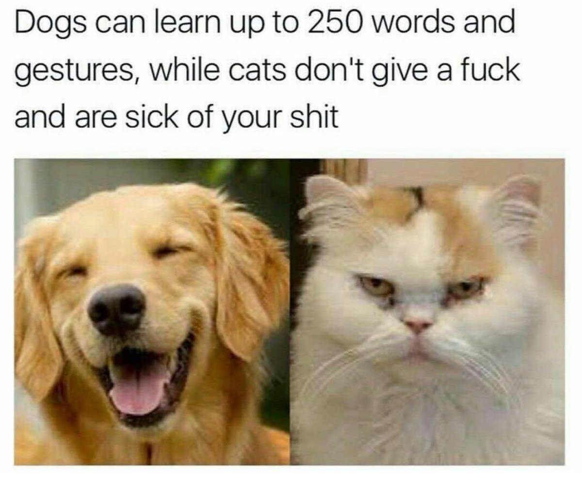 Well I’m sick of their shit too.