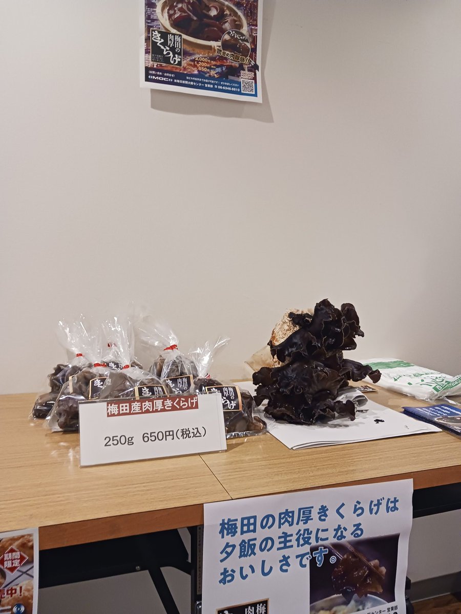 MaiOsaCenter_SD's tweet image. お世話になります。中の人です。
HYPERDASHKONA × 梅田の肉厚きくらげ
臨時展示販売所が開店しました。
※NO告知です。
「毎日新聞ビル9階食堂前」でひっそりと開催中です。
お時間のある方は是非お立ち寄りくださいませ。
#HYPERDASHKONA
#梅田の肉厚きくらげ
#M4EMOTION