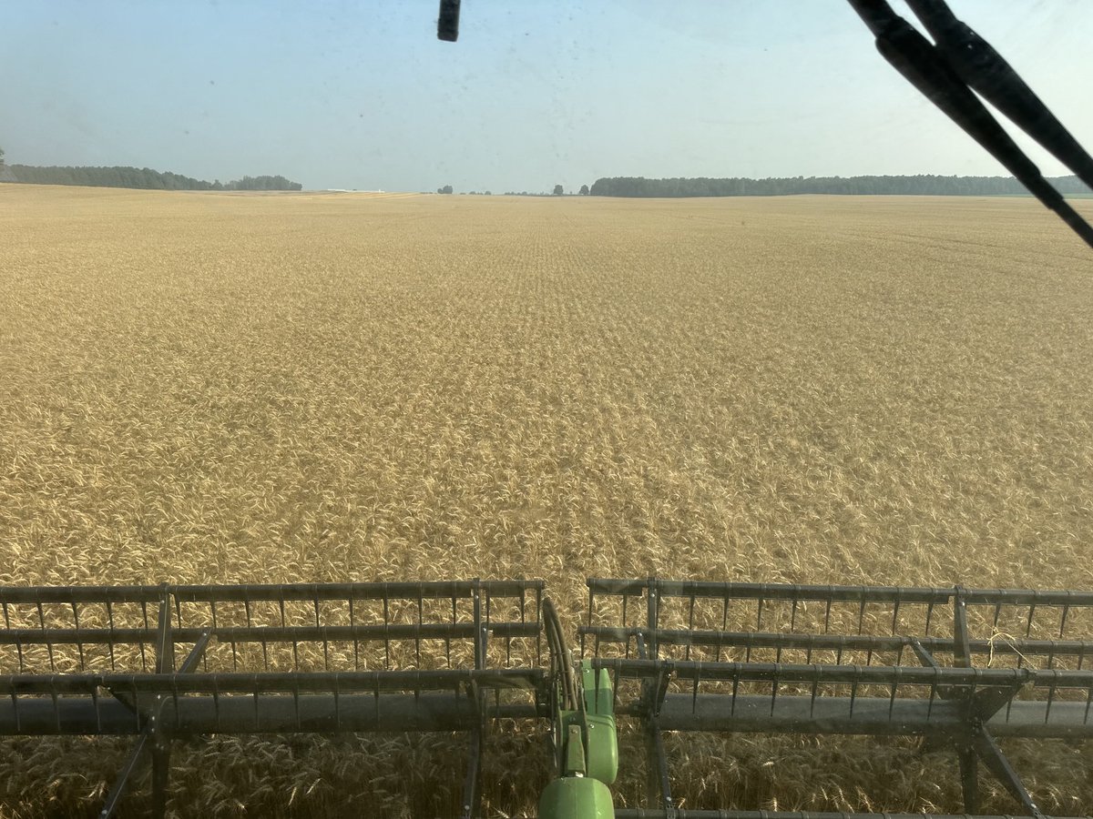 George Cornelissen tweet media