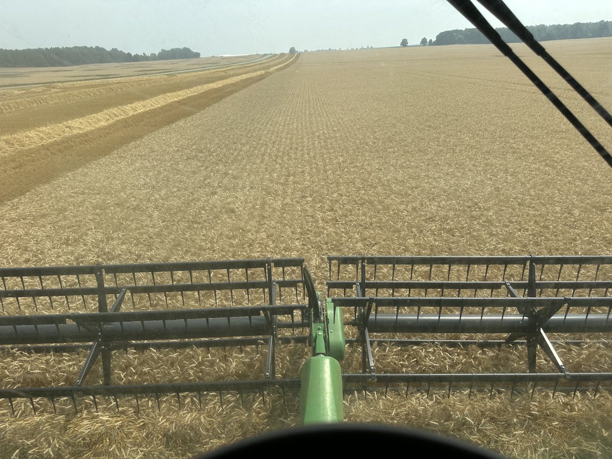 George Cornelissen tweet media