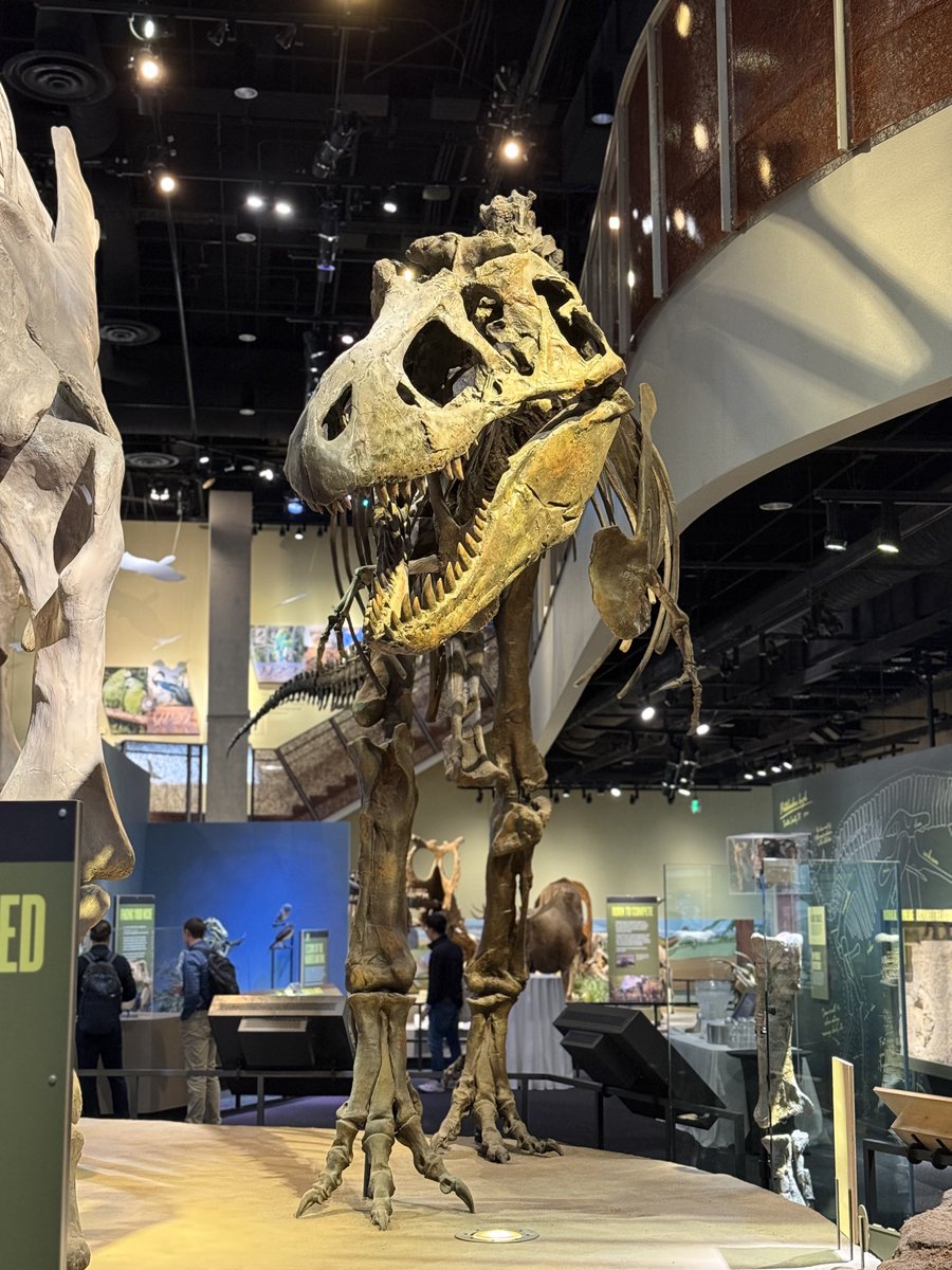 EMiddlebrooksMD's tweet image. Despite nature’s best attempts to derail me, made it to #7TANA 2025 meeting! Always enjoy seeing what our non-Neuro colleagues are up to on 7T. A great event &amp;amp; exciting talks—plus an awesome venue! Thanks to @UTSWMedCenter for hosting us!