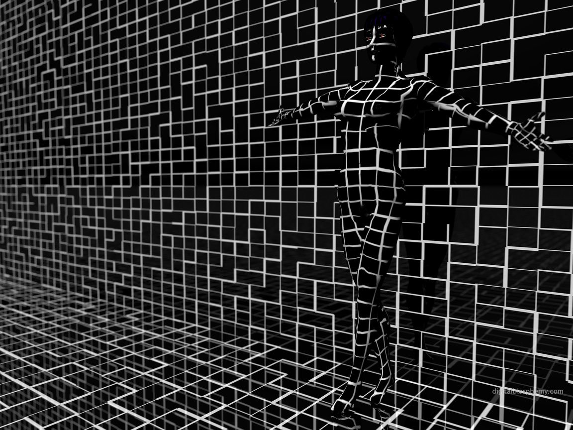 “Chamelea” (1998)