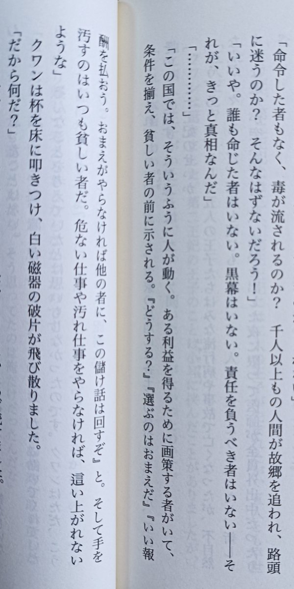 #児童文学が教えてくれること あえて自分の本も1冊。
美しい海辺で何も考えず楽しく暮らしていたかったのに、政治に巻き込まれ抗う少年と、それを支える従者となる幼馴染の物語。本編の外伝だけど、これだけ先に読んでも全く問題ない前日譚です。＃天山の巫女ソニン