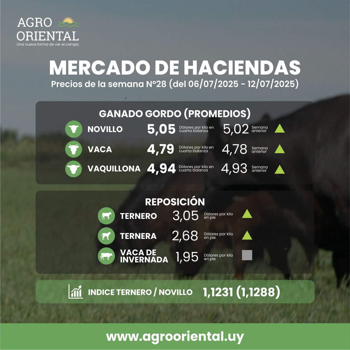 🐂 𝗠𝗘𝗥𝗖𝗔𝗗𝗢 𝗗𝗘 𝗛𝗔𝗖𝗜𝗘𝗡𝗗𝗔𝗦
Precios de la semana N°28 (del 06/07/2025 - 12/07/2025)

AgroOriental, una nueva forma de ver el campo.
📲 Por más info: agrooriental.uy