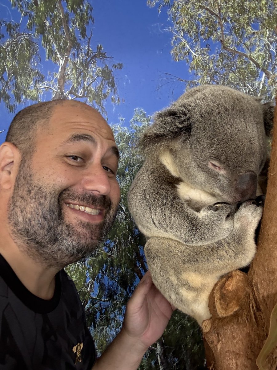 TheGoonersPod's tweet image. So...
like for Randal Koala Muani
RT for Koala Toure