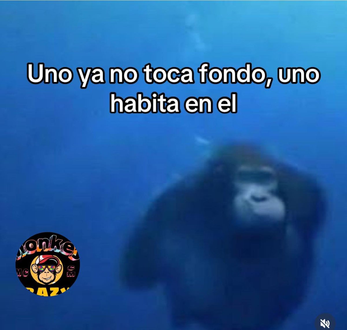 BANDIDOS (@bandidosfrasess) on Twitter photo 