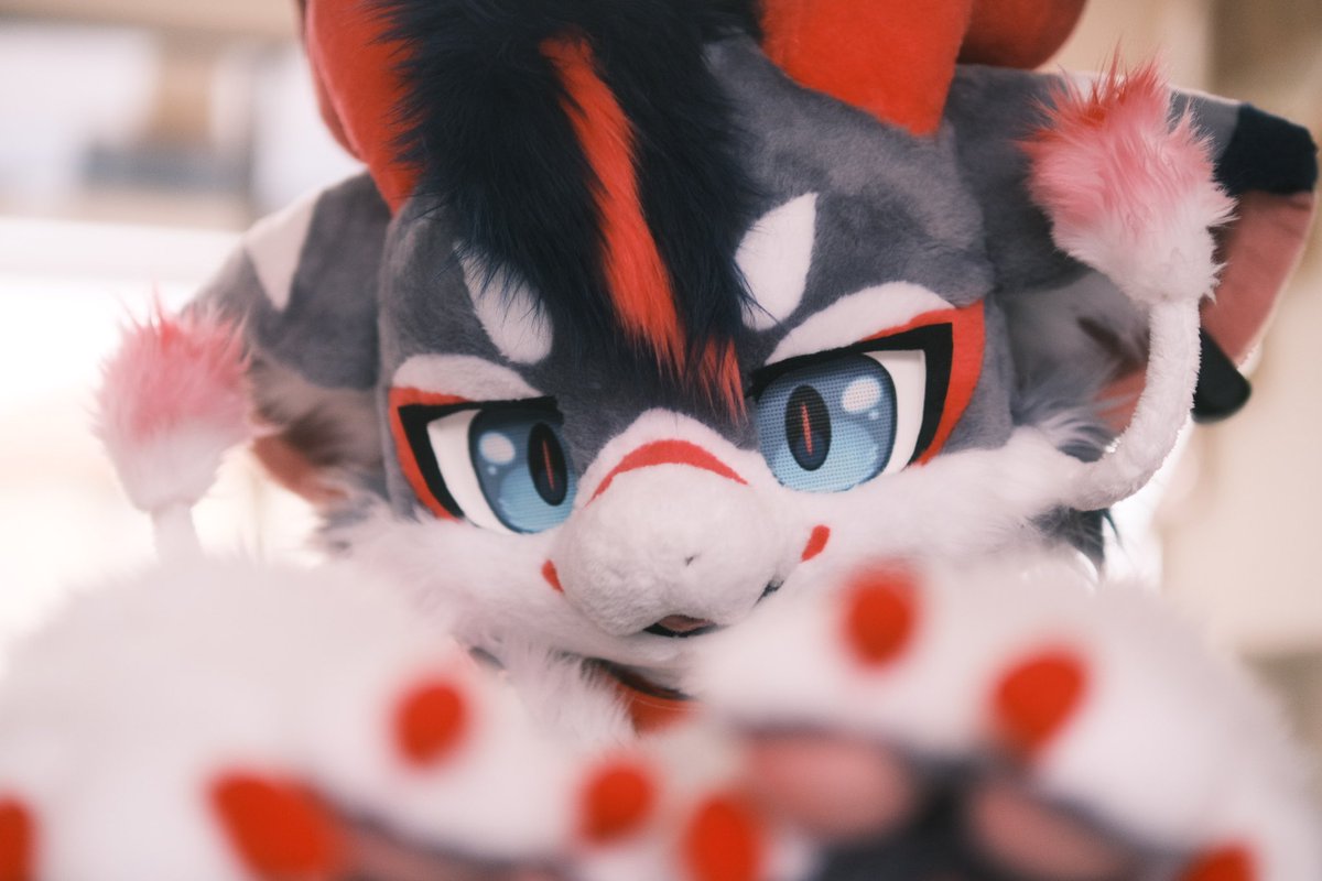 휴대폰 말고 여기 봐주세요! 🥹

#FursuitEveryday