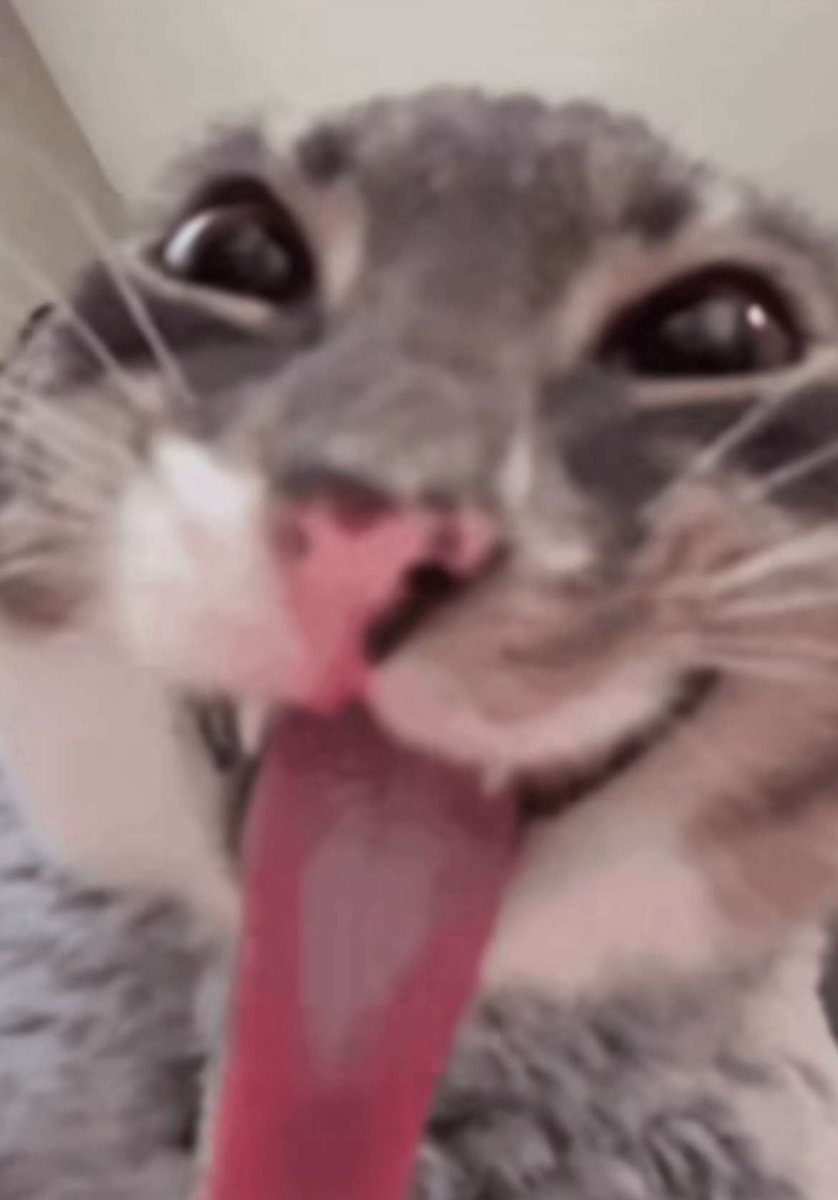 TurttleTipsy's tweet photo. @lumiseal @Buffpup_ Love this https://t.co/UgsuU9ZiTI