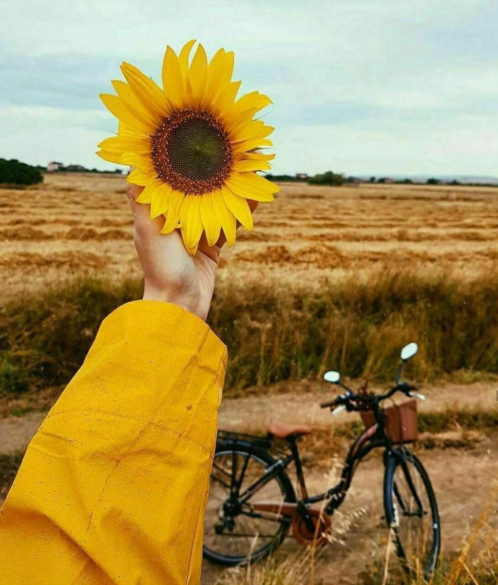 davood96465340's tweet image. و تو
آن شعر محالی که هنوز
با دو صد دلهره در حسرت آغاز توام
چشم بگشای و
مرا باز صدا کن
ای عشق
که من از لهجهی چشمان تو
شاعر بشوم...
#حمید_مصدق