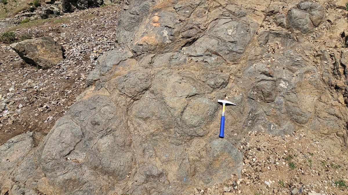 ashut_p's tweet photo. Pillow basalts
Permian Panjal Traps
NW Himalaya, India
(Guryul Ravine section)
#geology #pillowbasalts #basalts #permian https://t.co/jZN9dSOh9t