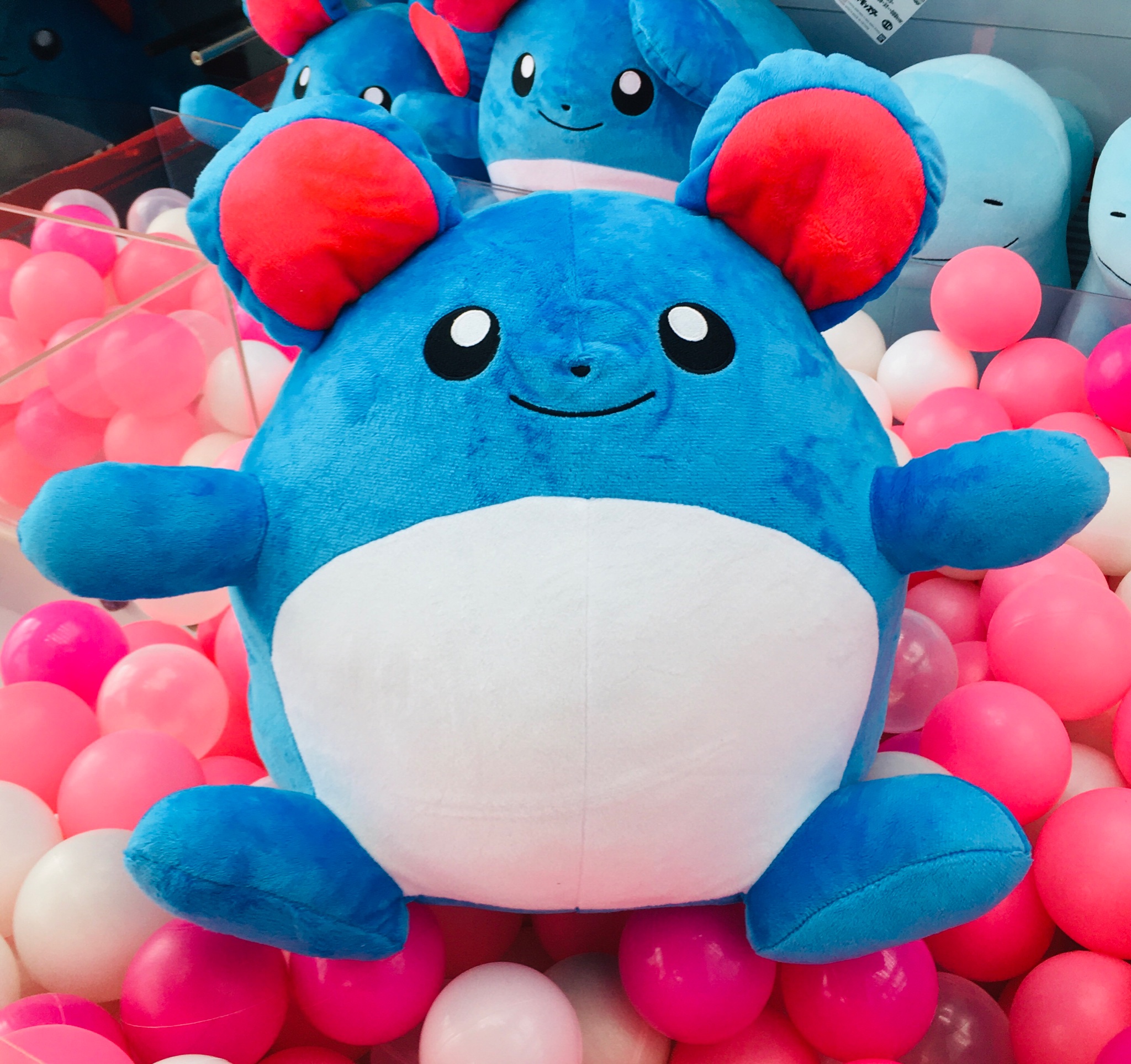 ポケットモンスター マリーぬいぐるみ GiGO 霞ヶ浦 on X: 