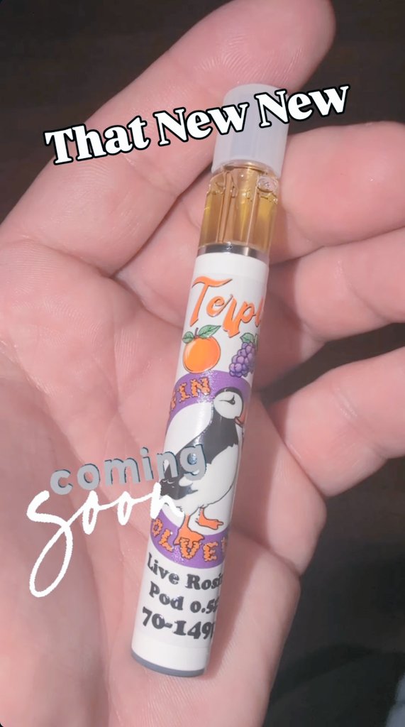 puffin solventless tweet media