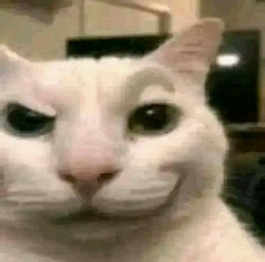 WeebYoda's tweet photo. @amandawinnlee dreamworks face cat https://t.co/Z8ZQb4Tc13
